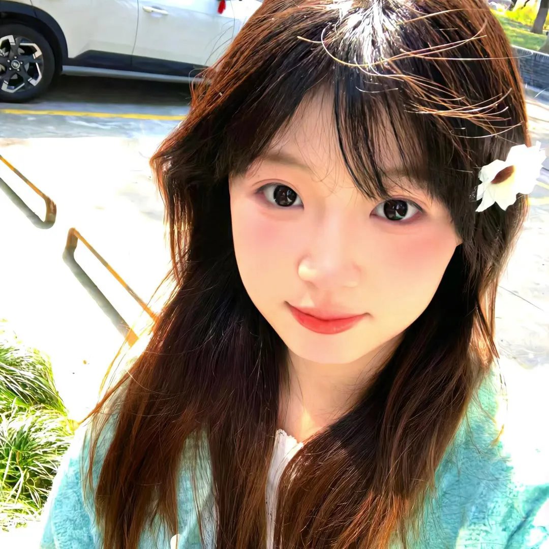 鸡毛梦想
